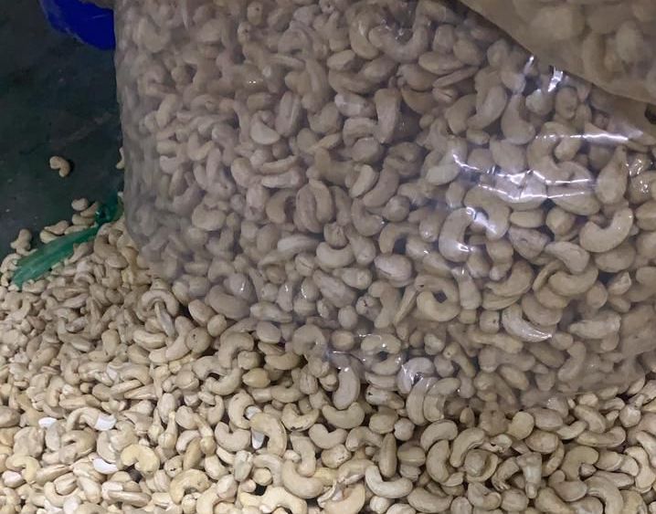 Cashew