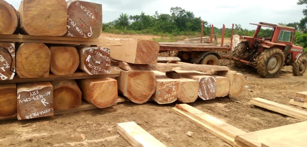 Timber & Logs